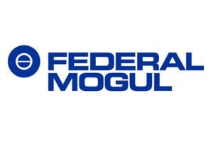 FEDERAL MOGUL